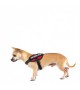 Julius K9 IDC® Powerharness size Baby 2